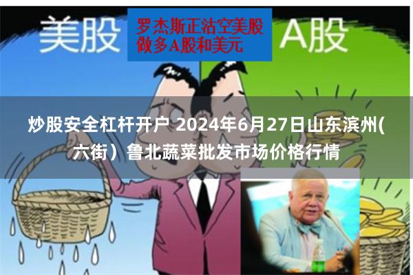 炒股安全杠杆开户 2024年6月27日山东滨州(六街）鲁北蔬菜批发市场价格行情